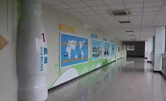 春意盎然，活力蘇州 從草莓采摘到千人徒步，一周熱門活動指南（2.27-3.5）