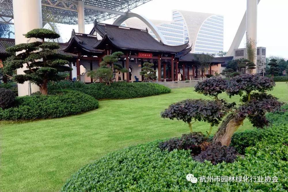 榮耀綻放 2016年度杭州市優秀園林綠化工程綜合組金獎——杭州國際園林綠化工程